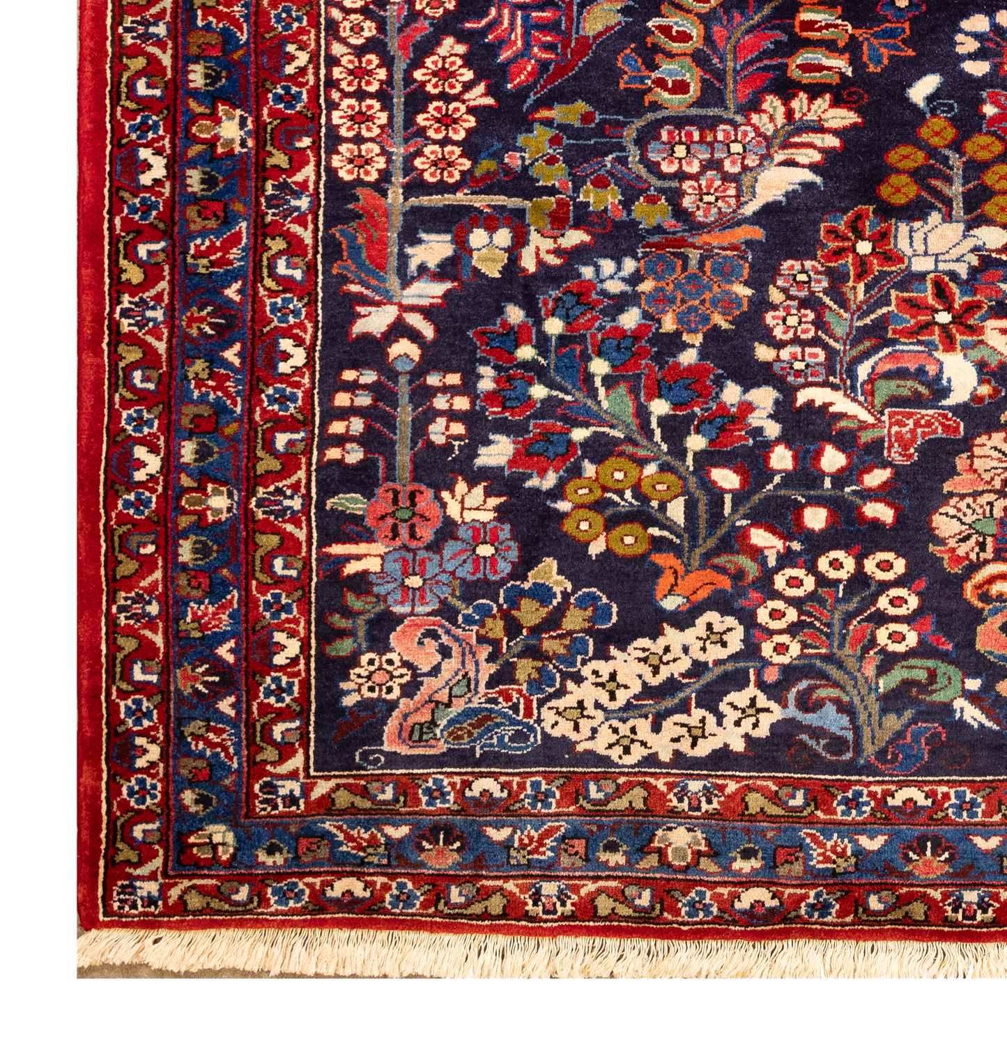 Armenibaf